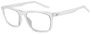 RG-NI-FV2409-900_1